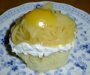 ナポレオン全